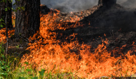 Росгидромет предупреждает о высокой пожароопасности в Чеченской Республике