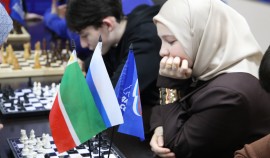 «Единая Россия» провела в Грозном турнир «Шахматы для СВОих»