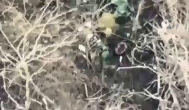 Рамзан Кадыров сообщил об эффективной работе стрелкового батальона им. Шейха Мансура в зоне СВО| грозный, чгтрк