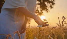 В России завершилась экоакция «Выбираю чистый воздух»