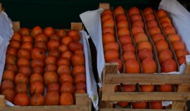 Россельхознадзор проконтролировал импорт 73 тонн фруктов из Азербайджана в Чеченскую Республику