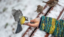 В Грозном прошла экологическая акция 