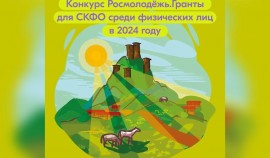 Стартовал прием заявок на конкурс молодежных проектов СКФО среди физических лиц