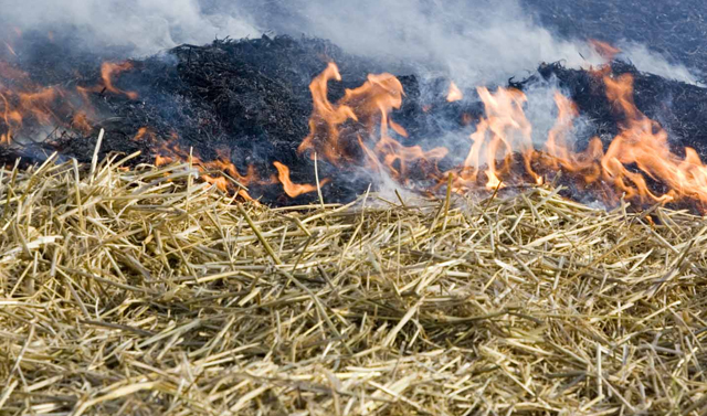 МЧС: В западных районах Чечни сохраняется высокая пожароопасность