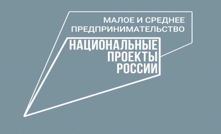 ЧР досрочно достигнуты результаты по количеству выданных микрозаймов по итогам 9 месяцев 2024 года