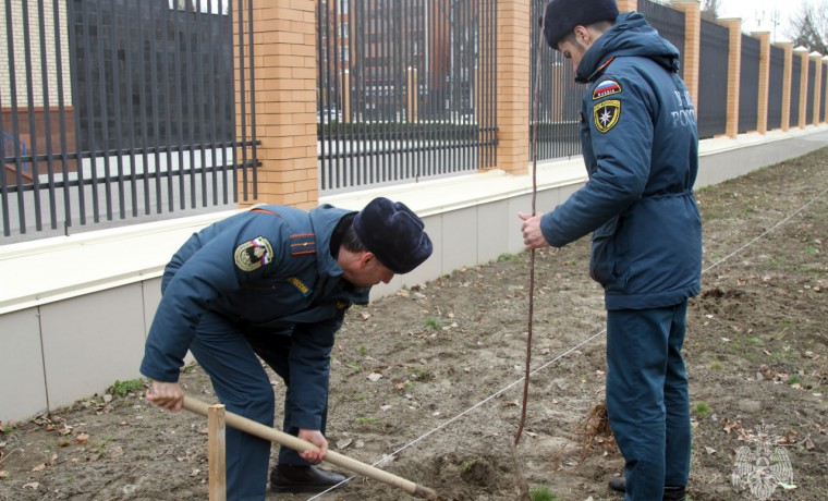 Сотрудники ГУ МЧС России по ЧР приняли участие в акции «Дерево в Раю»