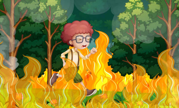 МЧС: в Чеченской Республике до 20 августа сохранится высокая и чрезвычайная пожароопасность