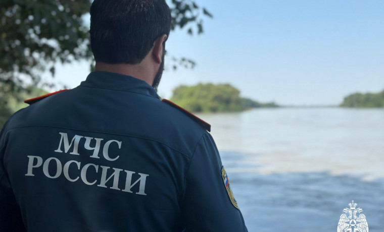 20 возгораний сухой травы зафиксировано в Чеченской Республике за сутки