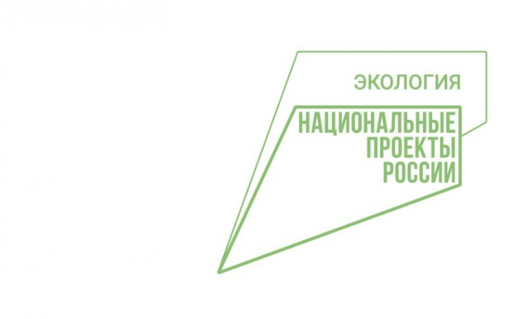 Важное направление нацпроекта «Экология» — это преобразование всей системы обращения с отходами в РФ