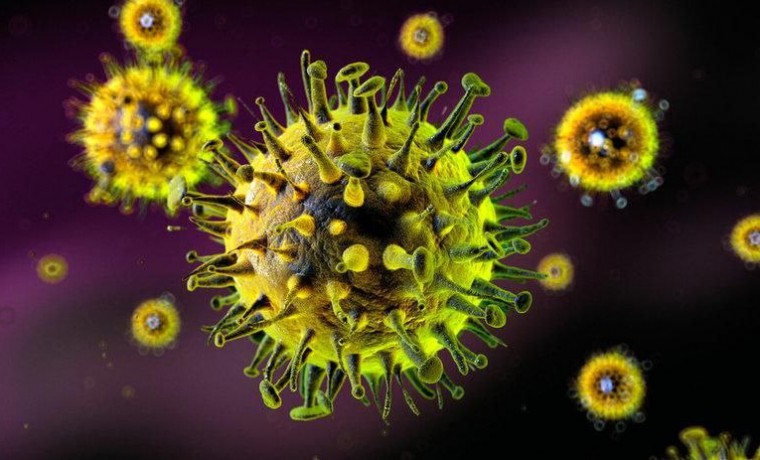 Эпидемиологическая ситуация по гриппу и острым респираторным вирусным инфекциям в ЧР