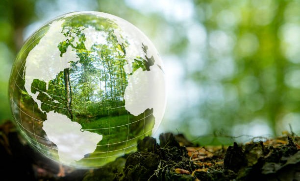 В Курчалоевском районе прошла экологическая акция «Чистая планета — будущее детей»