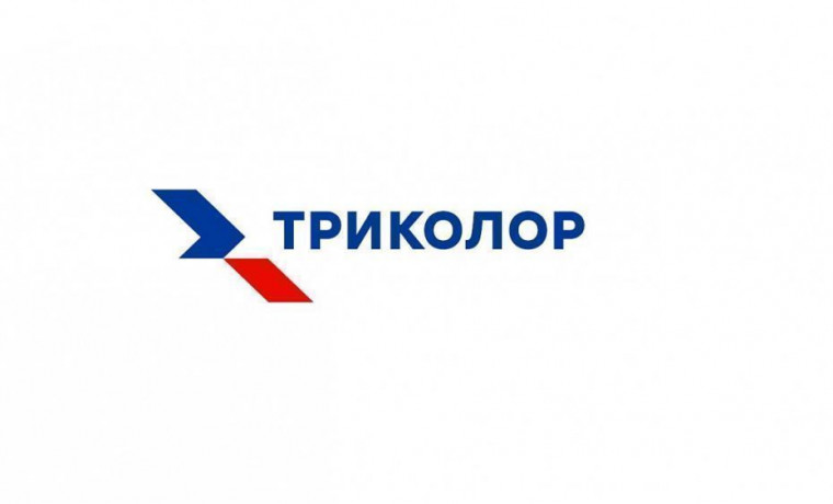 Баллы, которые работают: клиенты «Триколор» смогут купить бытовую электронику со скидкой