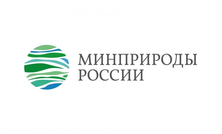 Какую продукцию с 2025 года производить с обязательным использованием вторсырья?