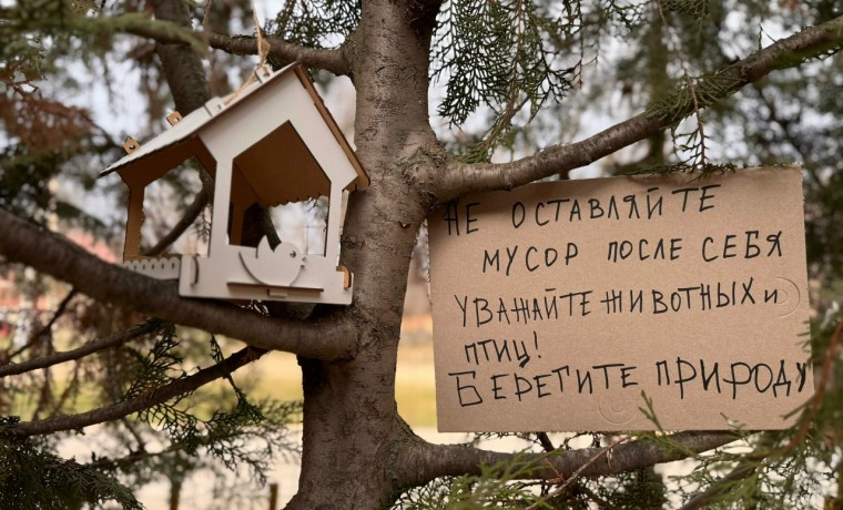 Всероссийская акция «Неделя добрых дел» стартовала с инициативы по экологии и зооволонтёрству