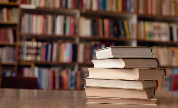 В Шатойском районе прошла акция «Книжные жмурки» в рамках нацпроекта «Семья»