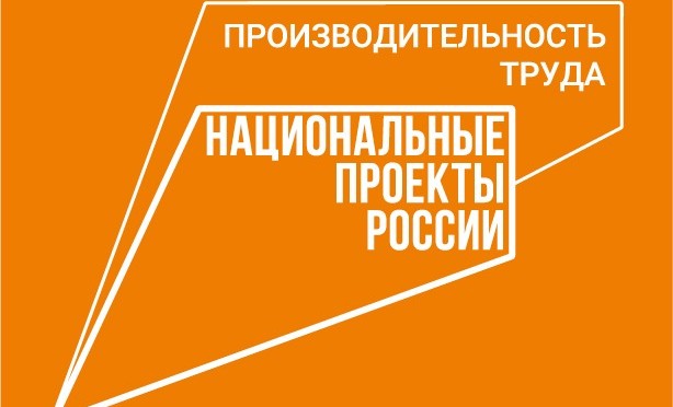 ЧР вошла в лидирующую подгруппу среди регионов по итогам нацпроекта «Производительность труда»