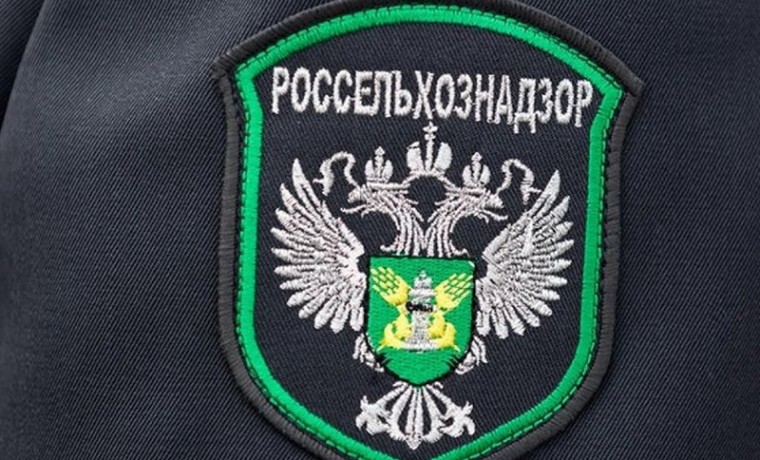 В ЧР под контролем Россельхознадзора оформлен вывоз собаки-компаньона за пределы РФ
