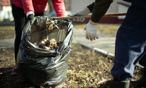 В Гудермесском районе прошел экологический субботник по очистке лесопарковых зон