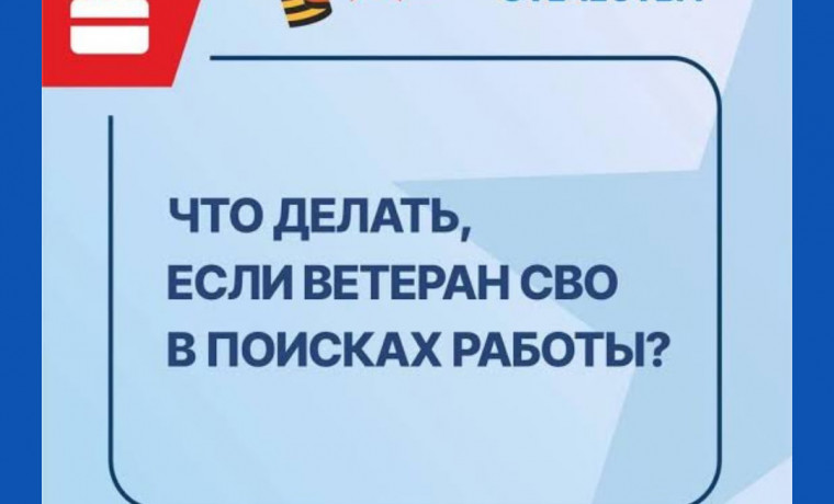 Поддержка ветеранов СВО: новое мероприятие по трудоустройству в Чеченской Республике