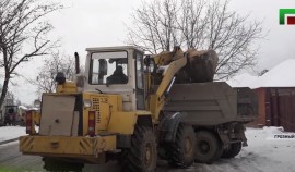 На проспекте им. Ахмата-Хаджи Кадырова начался этап озеленения